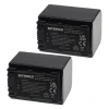 VHBW EXTENSILO 2x Batteries Compatible Avec Sony HDR-XR200E, HDR-XR200VE, H… soldes luxe 10