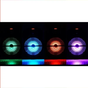 Party Light & Sound Enceinte Portable 8″”/20cm 250W Avec USB/BLUETOOTH/FM – Party Light & … Pas Cher soldes France 8